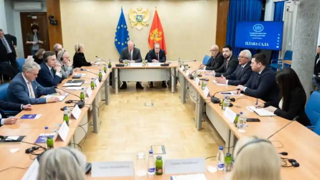 Mandić: Skupština pokretač i glavni motor evropskog puta naše zemlje