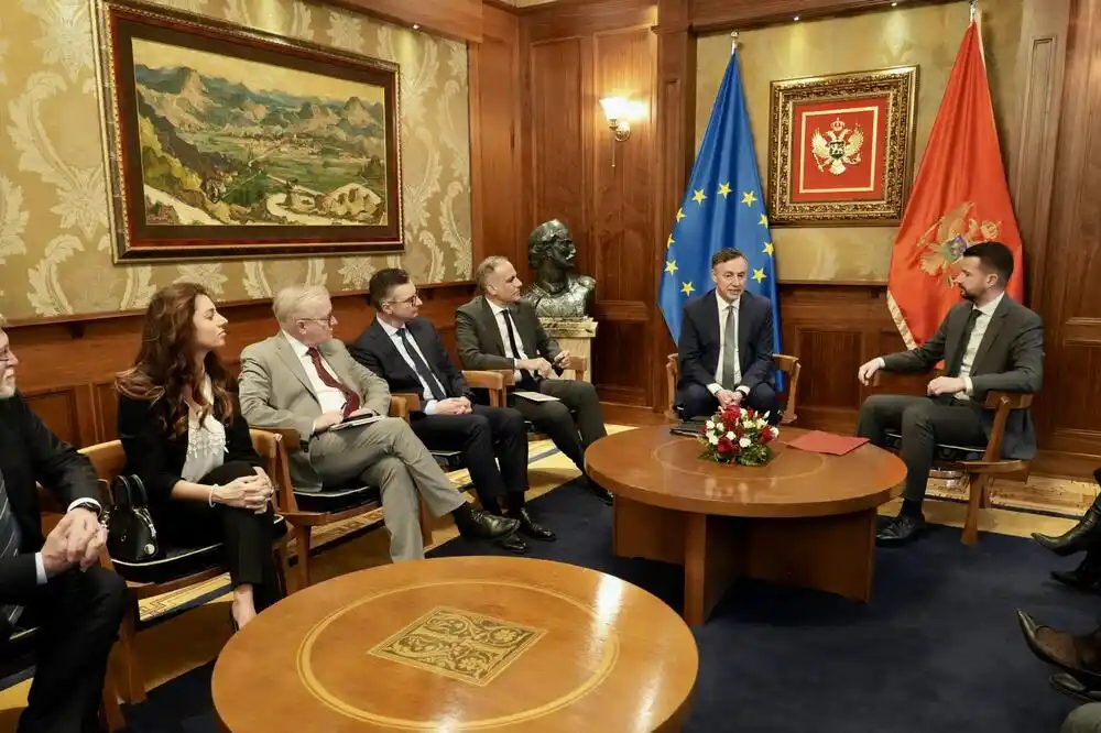 Milatović na sastanku sa delegacijom AFET-a: Institucionalna stabilnost ključ daljeg napretka ka EU