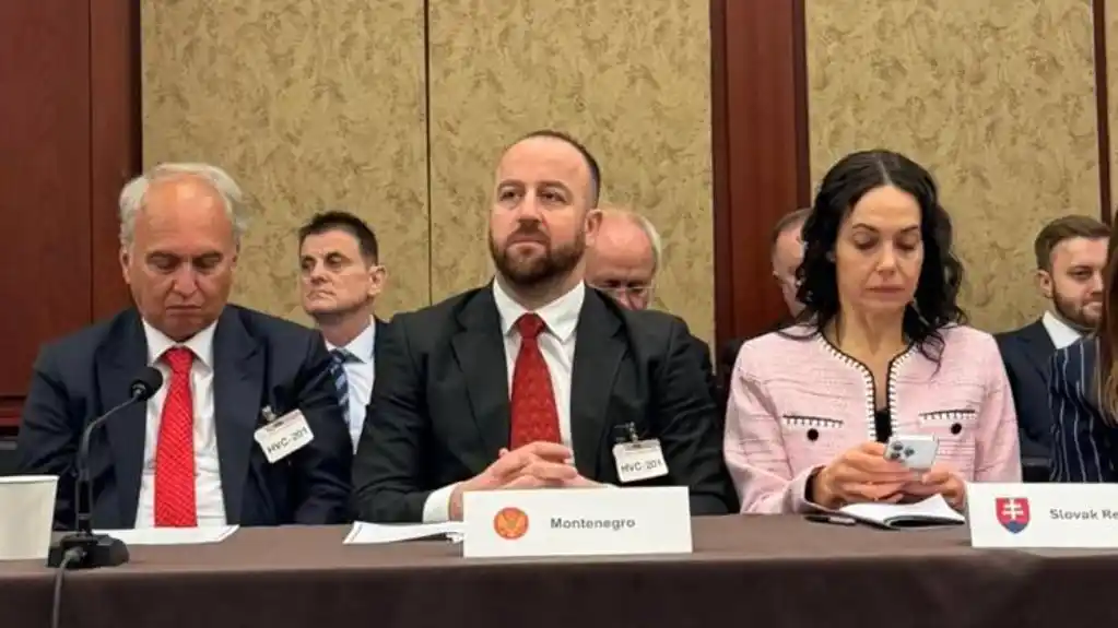 Nikolić: Crnoj Gori treba jača podrška saveznika da se odupre destabilizaciji njenog evropskog puta