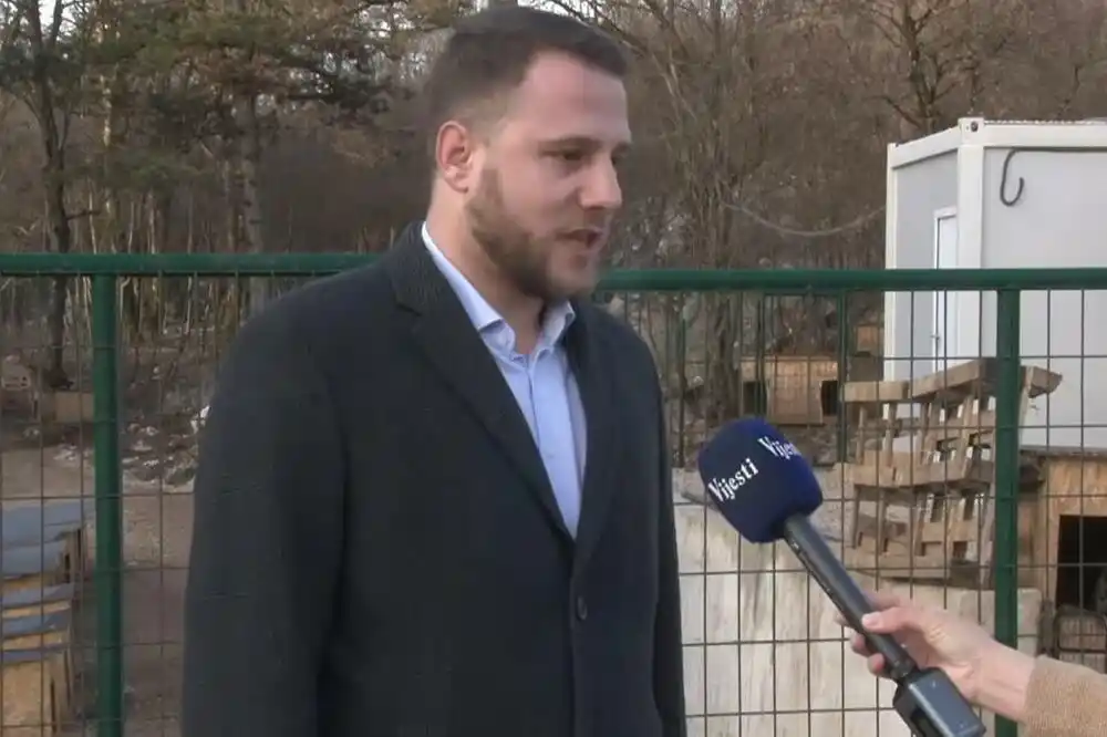 Opština Nikšić od početka godine isplatila 71.000 eura odštete građanima zbog ujeda pasa lutalica