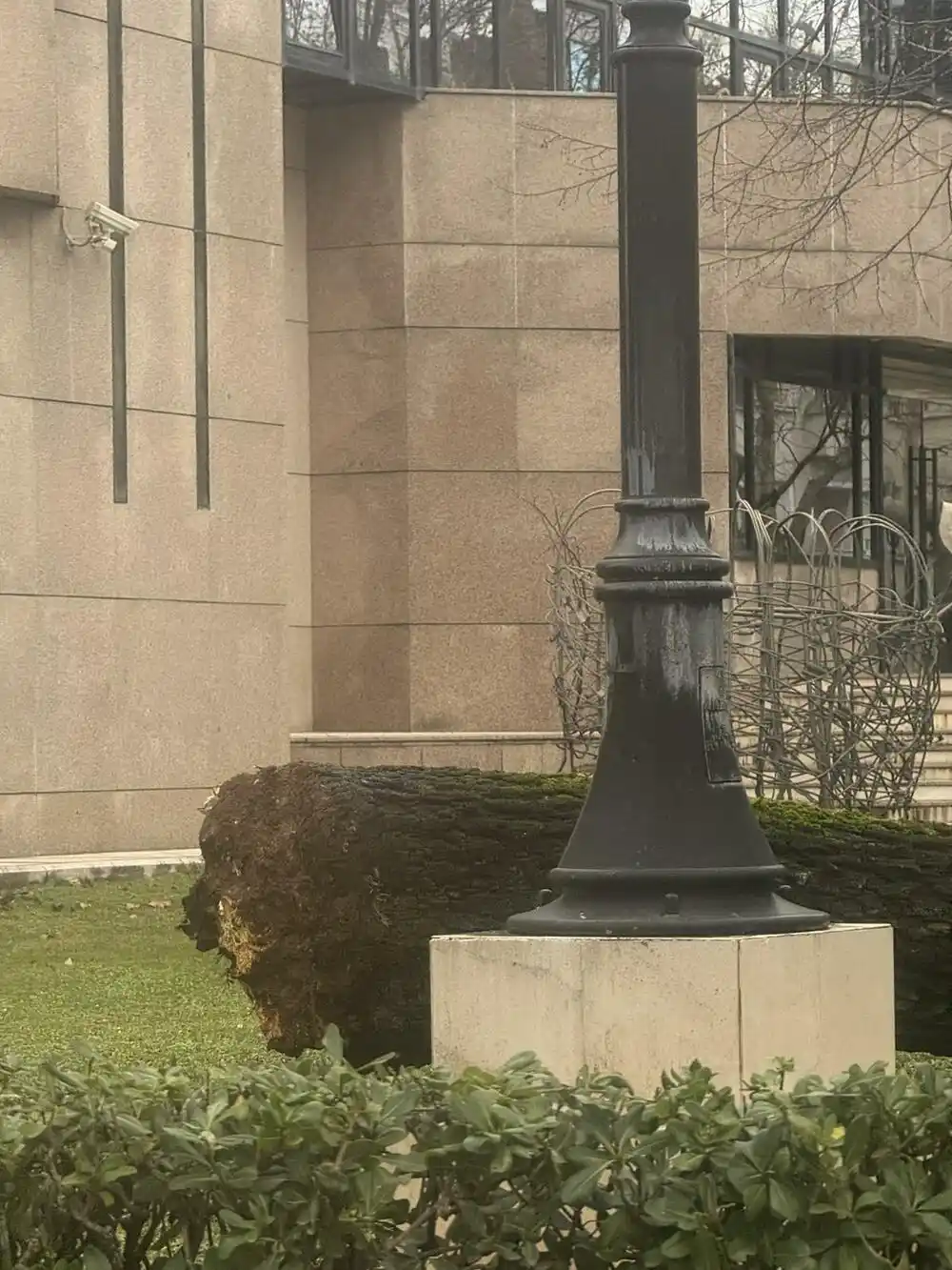 Podgorica: Oboreno stablo u blizini CNP-a