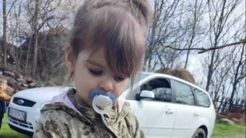 Ponovo podignuta optužnica za ubistvo Danke Ilić