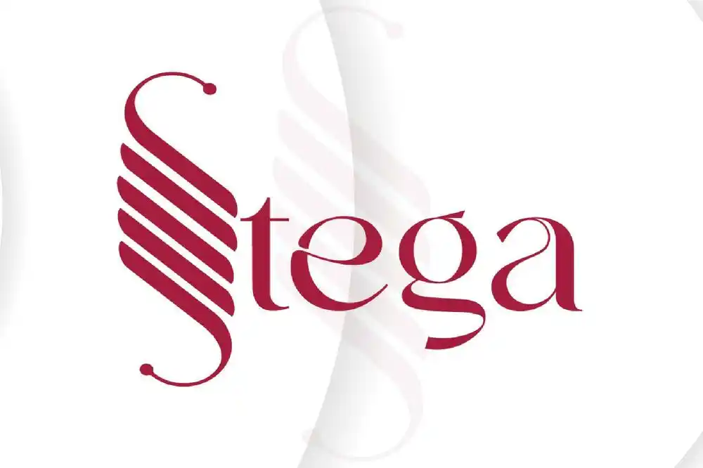 STEGA: Kroz izmjene Zakona o finansiranju lokalne samouprave priprema se teren za aerodromsku koncesiju