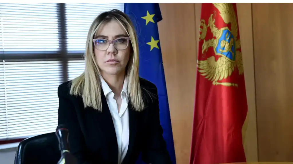 Ujedinjena: Protest podrške Bratić u nedjelju ispred zgrade Višeg suda