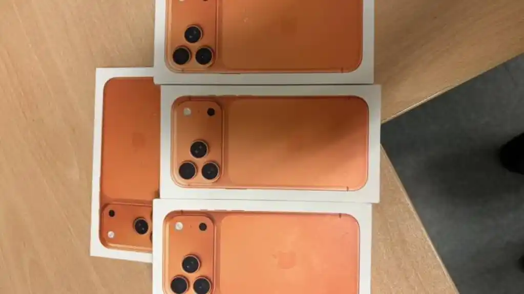 Uprava carina: Oduzeta roba vrijedna 8.000 eura