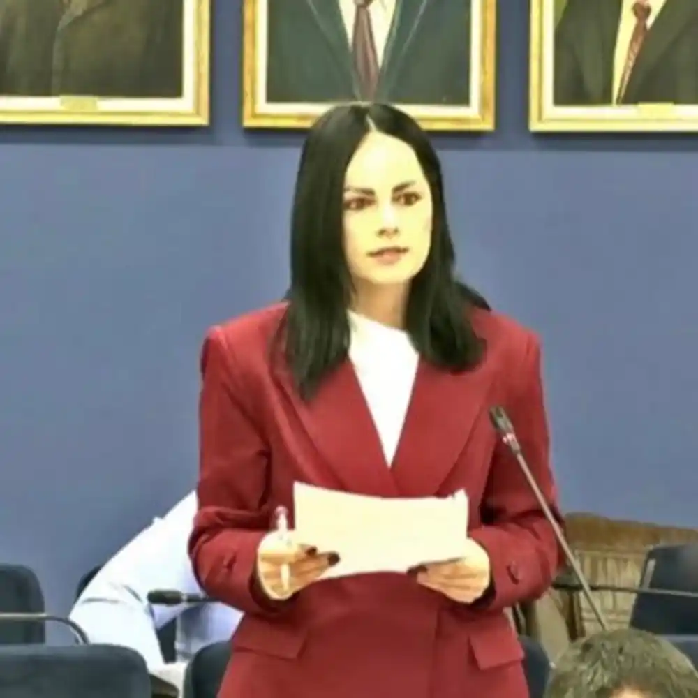 Vujičić: Pored brojnih problema u Herceg Novom lokalna vlast energiju troši na identitetske performanse