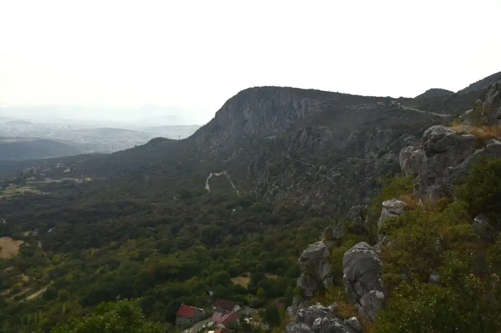 Za modernizaciju sektora šuma 18 miliona: Vlada pregovara sa svjetskom bankom o novom kreditu