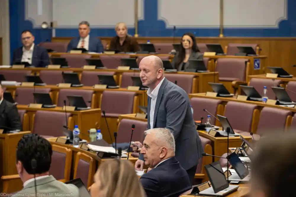 Zbog prijetnji upućenih Kneževiću: Tužilaštvo traži da se Avdiću zabrani napuštanje Bijelog Polja