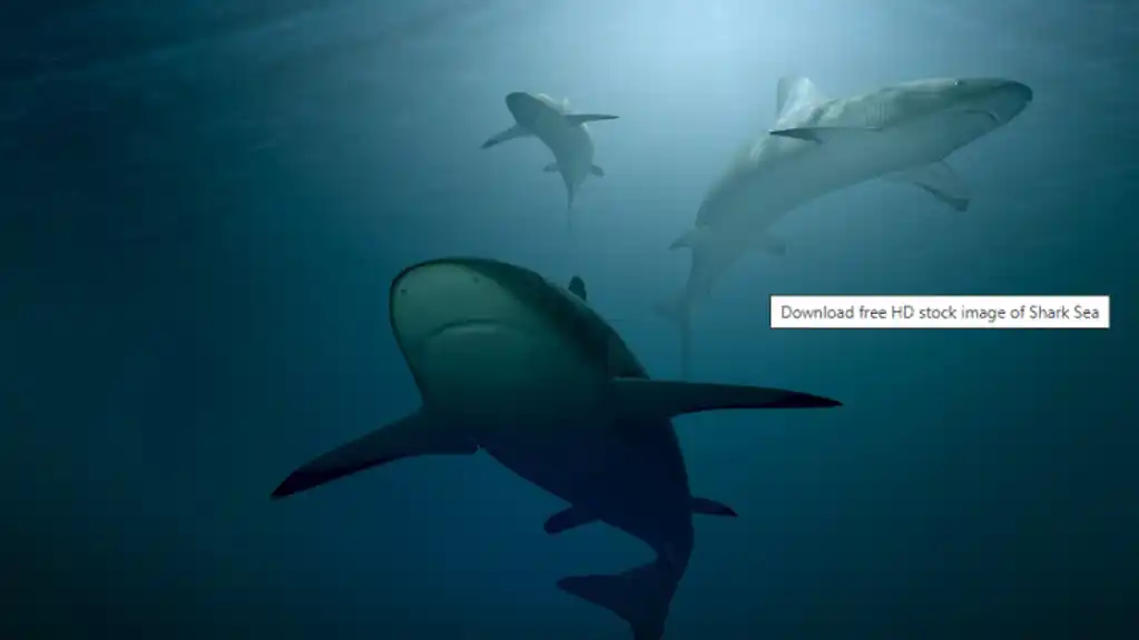 Ajkule možda nisu ono što mislimo: Nova studija dovodi u pitanje njihovo porijeklo