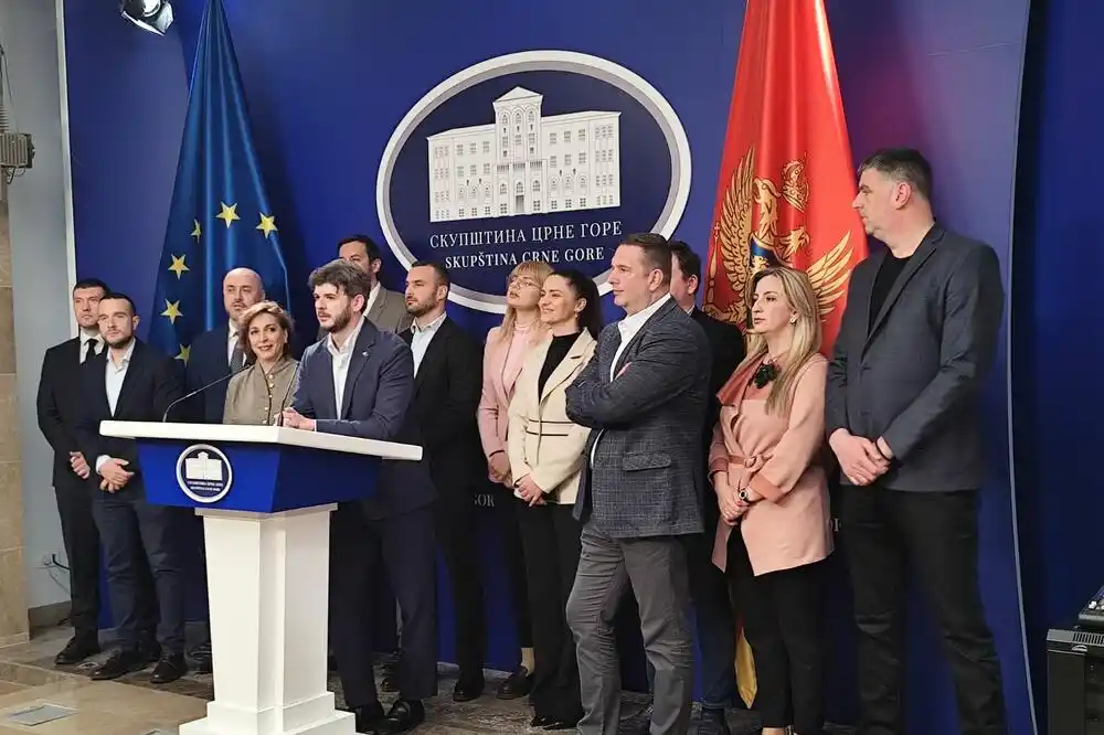 Čarapić: Odluka o odlaganju sjednice Skupštine donijeta bez PES-a