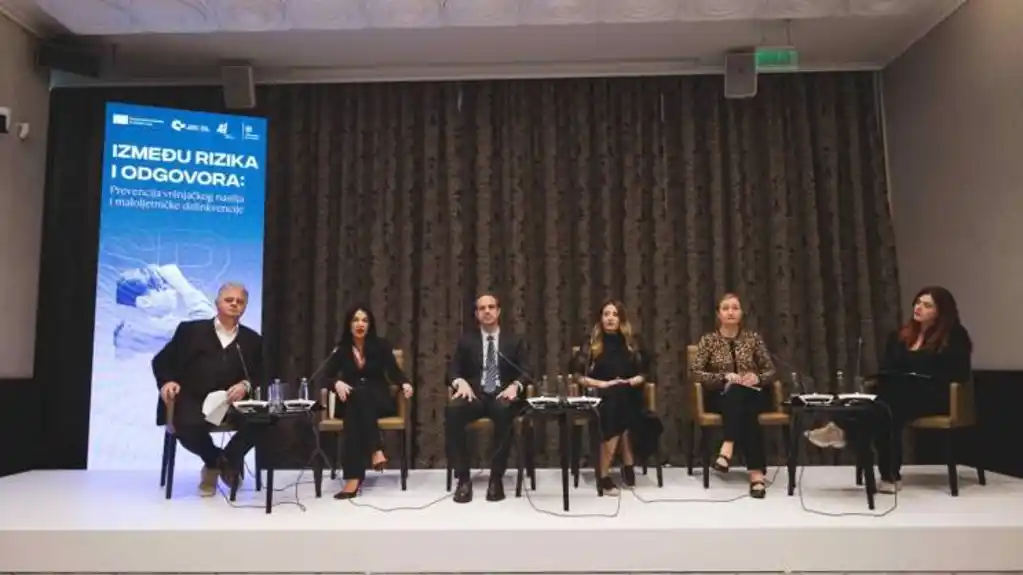 CGO i ADD: Sistem mora djelovati zajedno da bi zaštitio mlade od nasilja i delinkvencije