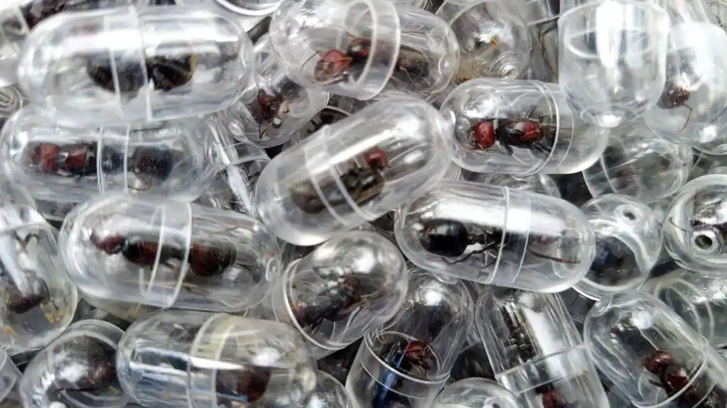 Cvjeta trgovina mravima: Jedan košta i do 190 evra