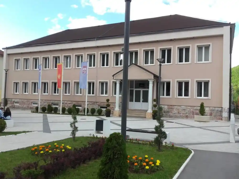 Demokrate iz Andrijevice predlažu finansijsku podršku nezaposlenim porodiljama