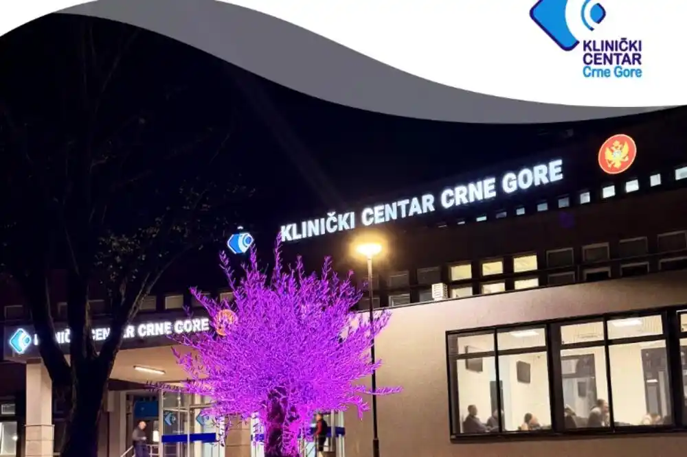 KCCG: Maslina zdravlja u ljubičastoj boji u znak podrške osobama sa epilepsijom i njihovim porodicama