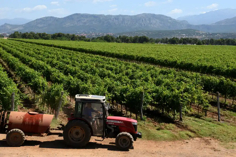 Kiša i snijeg, a mraz prijeti: Vrijeme ne ide naruku poljoprivredi
