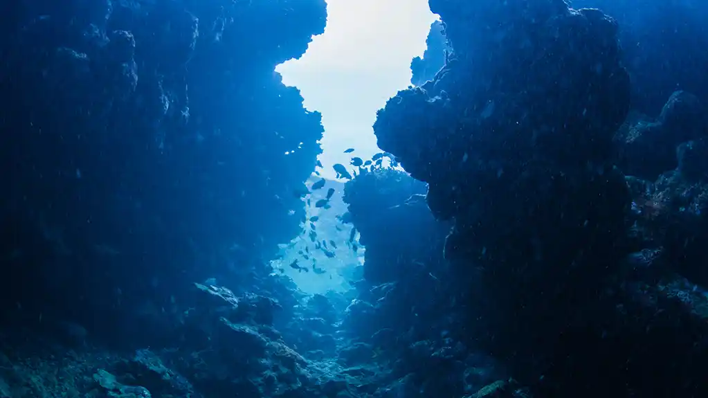 Kraljev Trov kompleks: Nova istraživanja otkrivaju kako je nastao ovaj podvodni fenomen