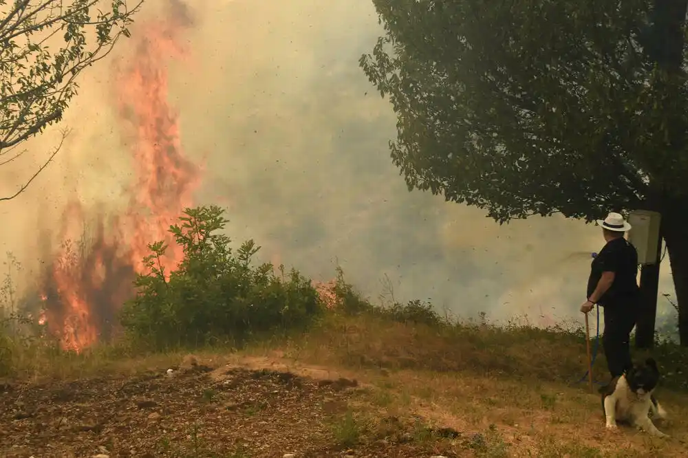 Manjkalo novca za pomoć u sanaciji šteta: Komisija će Vladu upoznati o dešavanjima tokom prošlogodišnjih požara