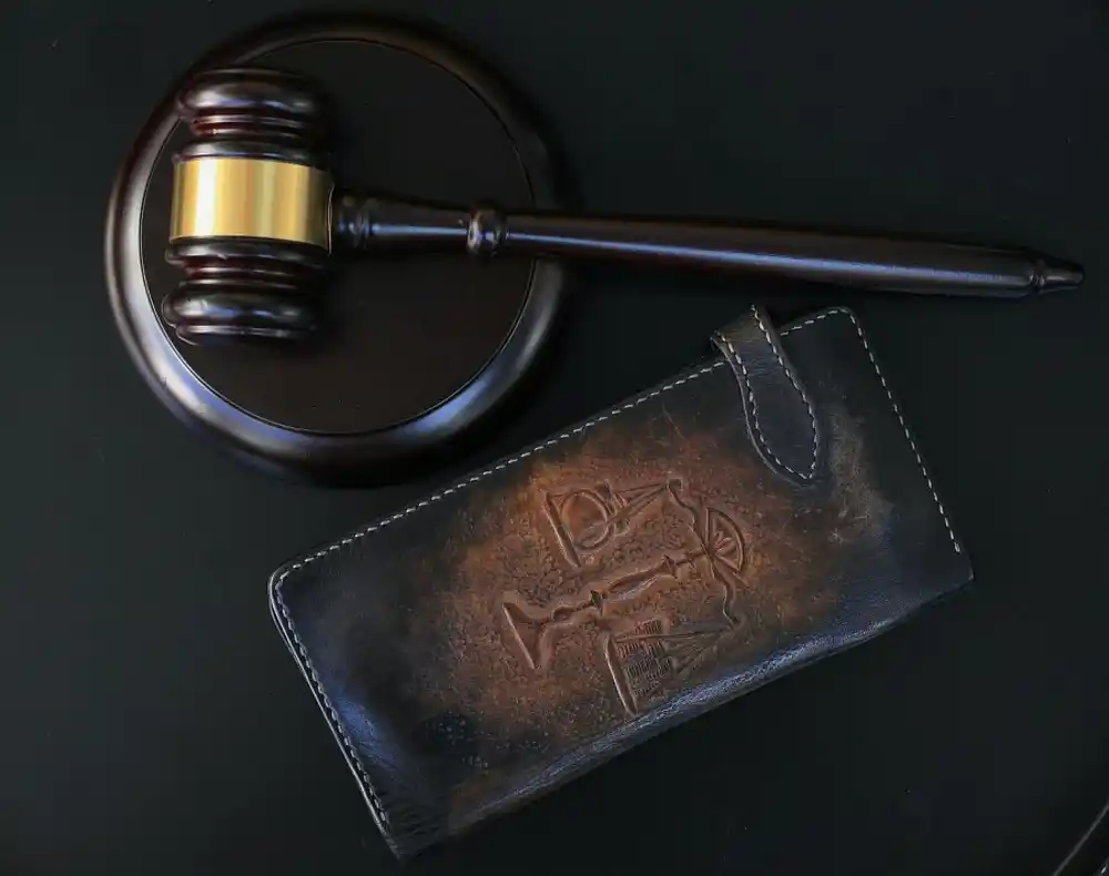 Porast krivičnih predmeta u Osnovnom sudu u Nikšiću: Ove godine moguće više od 600 slučajeva