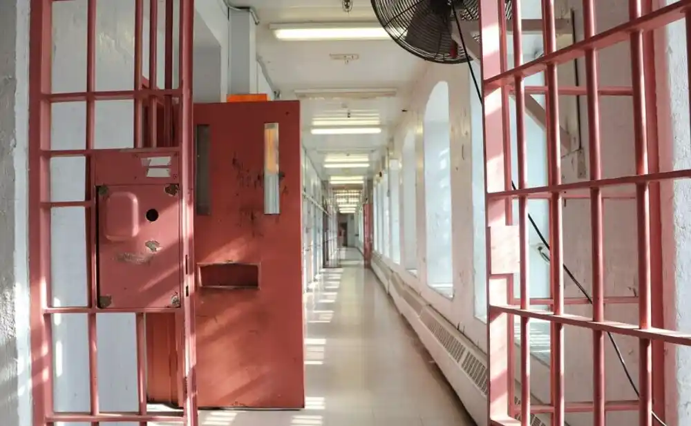 Predrag Veljić osuđen na tri godine zbog šverca cigareta, njegova majka na kućni zatvor