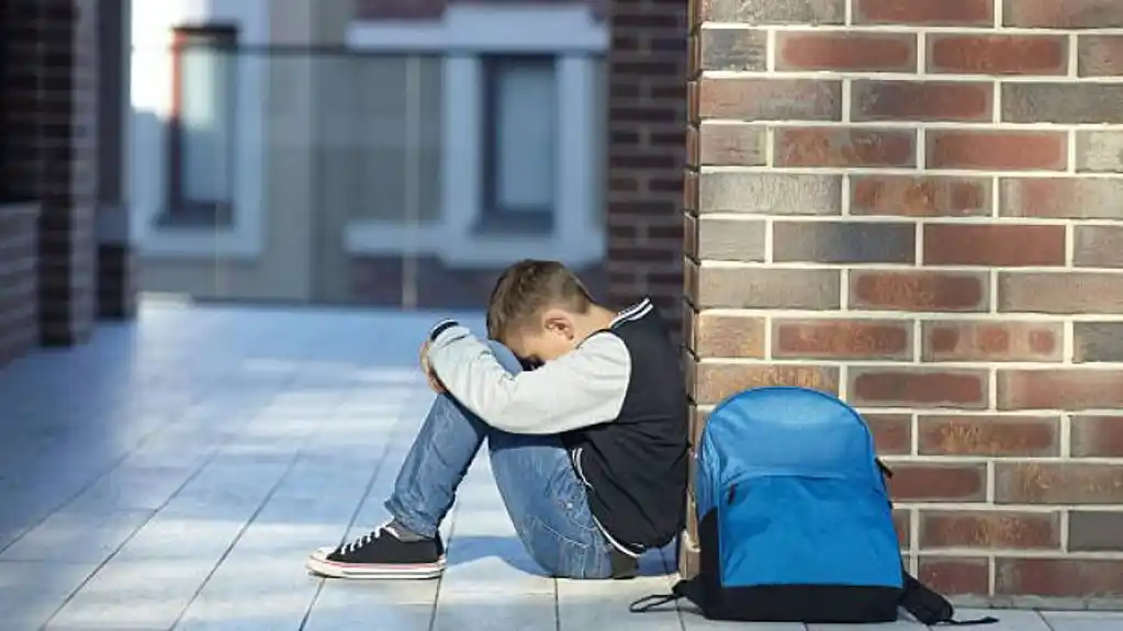 Slučaj učenika iz Podgorice: Majka tvrdila da trpi nasilje, dječak na kraju isključen iz škole