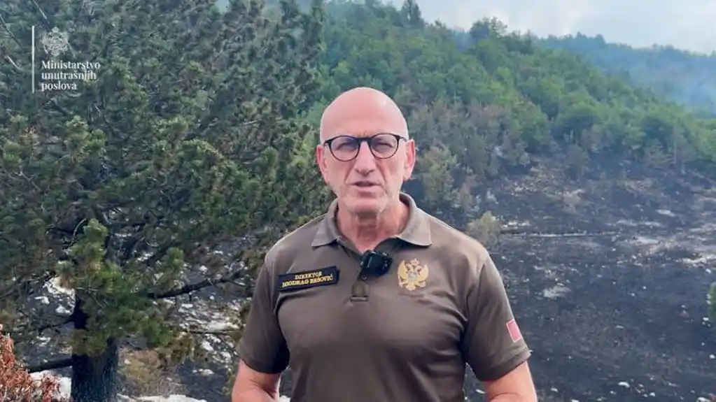 Bešović: Zakup aviona privremeno rješenje, u planu sopstvena flota