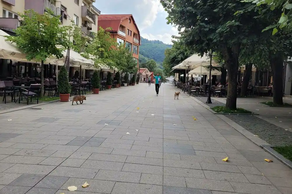 Bijelo Polje: Državna inspekcija potvrdila nelegalno odlaganje životinjskog otpada