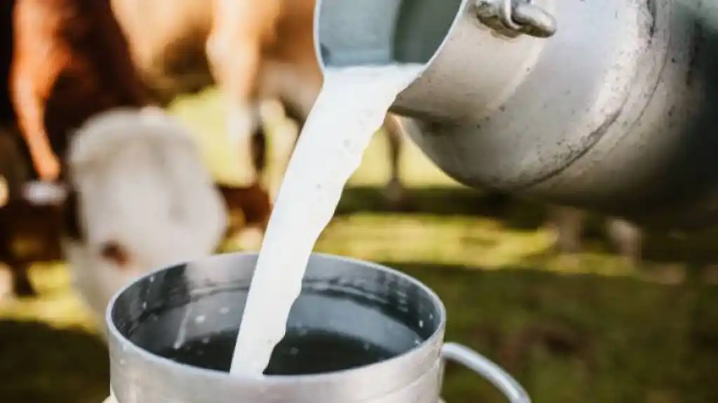 Čekaju dozvolu iz Srbije za transport mlijeka: Ministarstvo i mljekare očekuju da će se uskoro normalizovati otkup