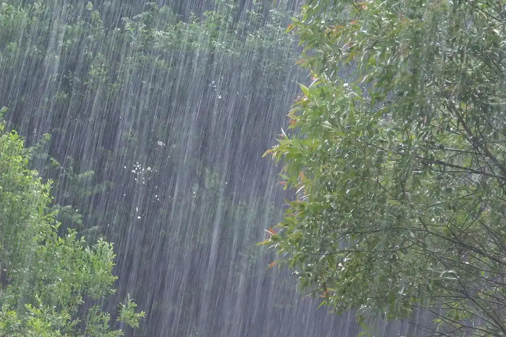 Crna Gora u vrhu liste najkišovitijih zemalja Evrope