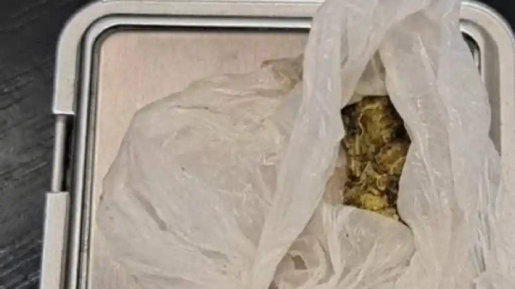 UP: Oduzeto 200 grama marihuane, procesuirane četiri osobe