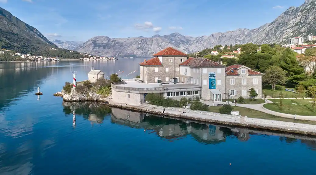 Institut za biologiju mora: Multisektorski reagovati kako bi se spriječili incidenti u zalivu