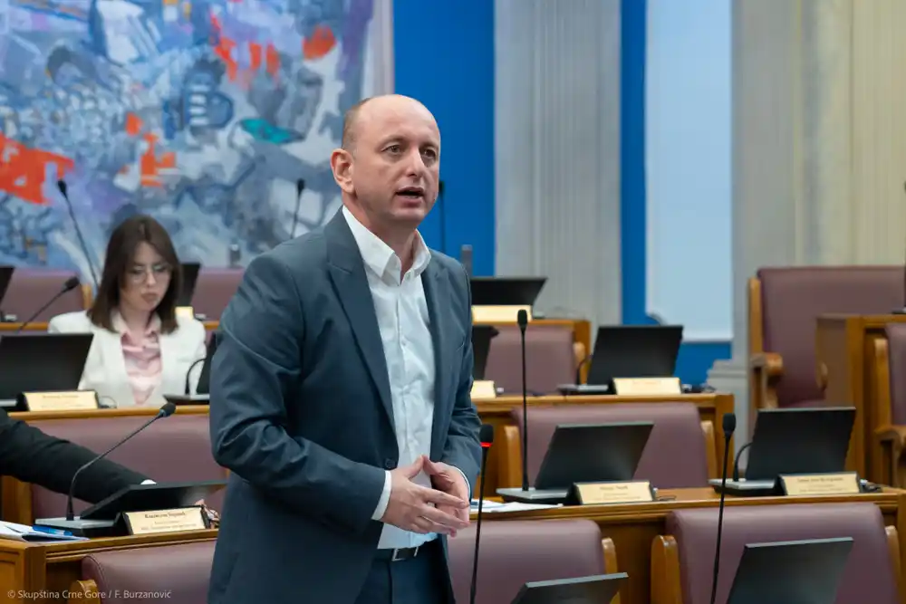 Knežević: Protiv smo okupacije aerodroma