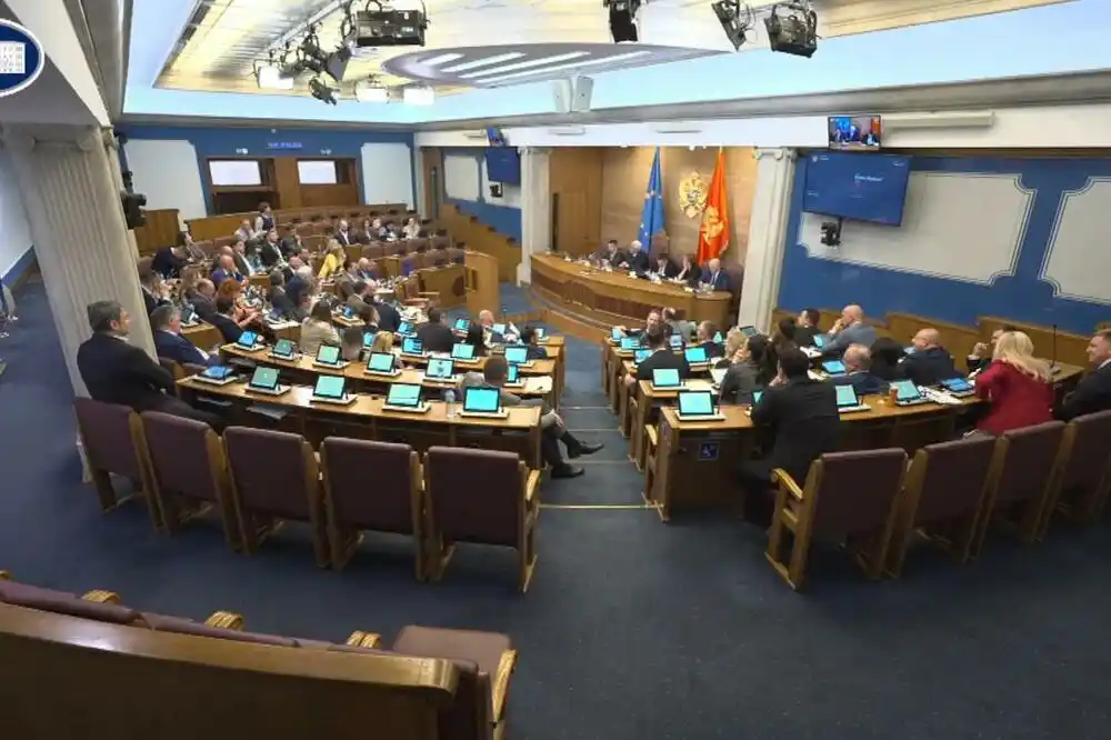 Knežević: Trobojka smeta onima koji bi da zaboravimo Vojislavljeviće, Balšiće, Petroviće…