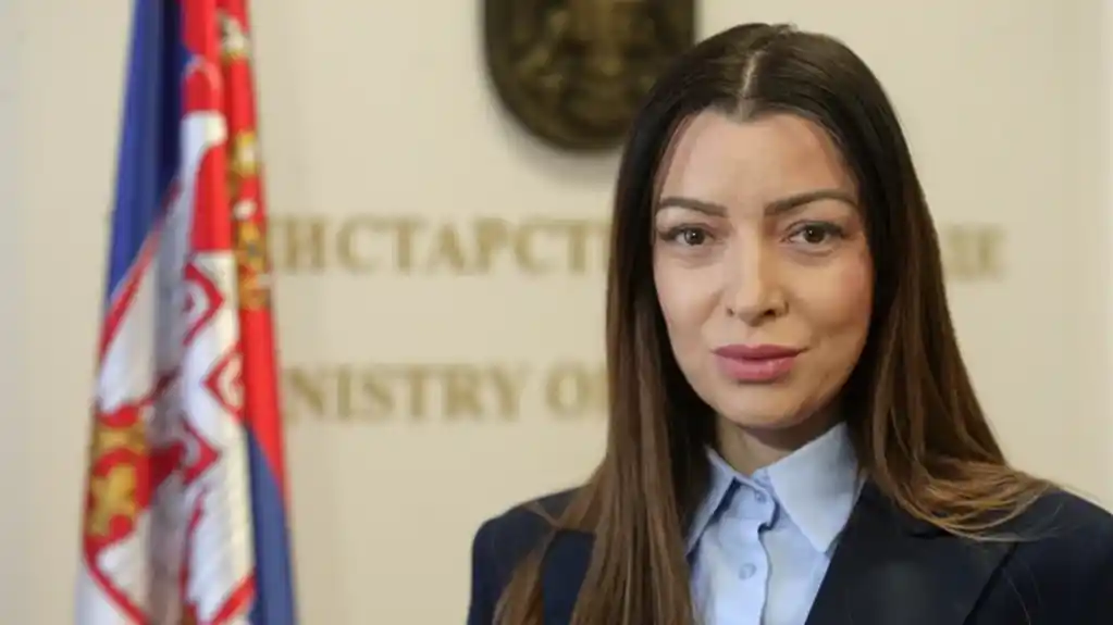 Mesarović: Tri velike kineske kompanije zainteresovane za ulaganje na srpsko tržište