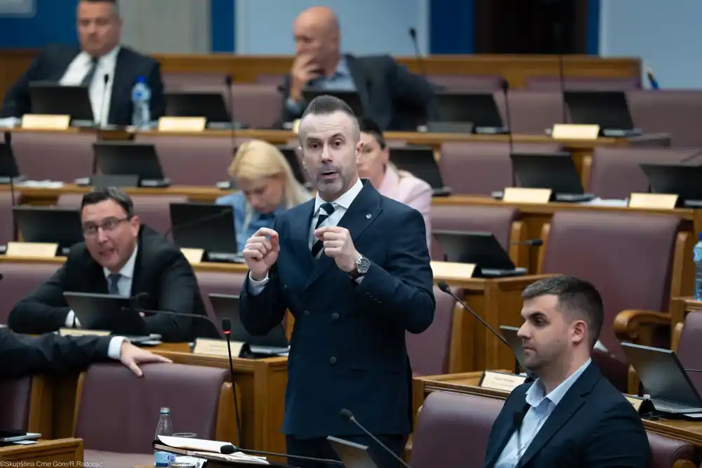 Milov brat pokrenuo postupak protiv Demokrata; Bogdanović: Ako se bilo šta desi bilo kome, u porodici Đukanović tražiti krivca