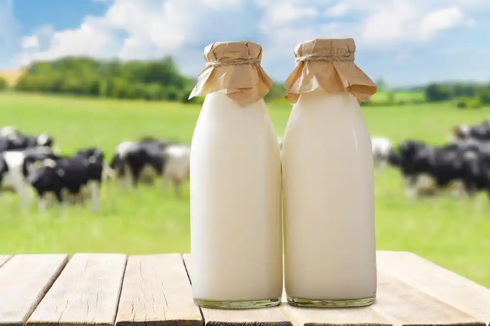 Mljekare „Nika“ i „Lazine“ i zvanično ne otkupljuju mlijeko