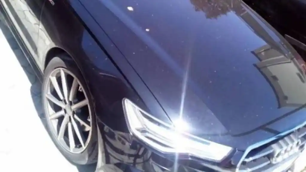 Na GP Dračenovac oduzet automobil koji potražuje Holandija