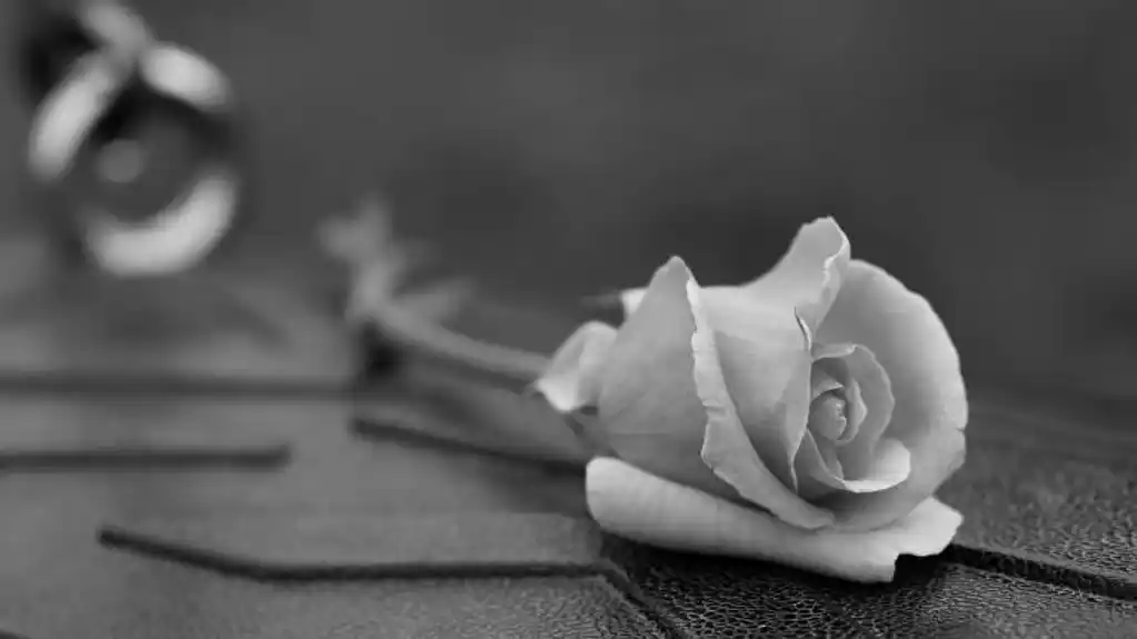 SUMORNA STATISTIKA: Svaka četiri dana neko sebi oduzme život