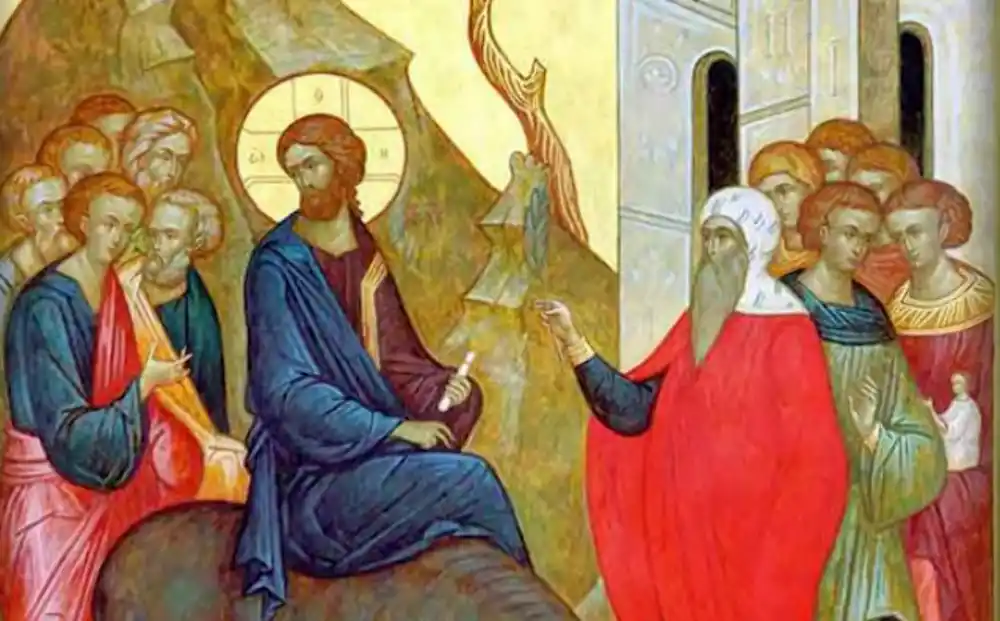 Ulazak Gospoda Isusa Hrista u Jerusalim – Cvijeti