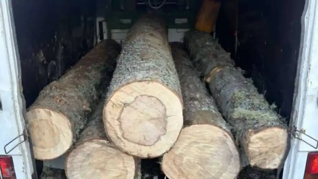 UP: Krivične prijave protiv tri osobe osumnjičene za krađu i oštećenje tuđih stvari