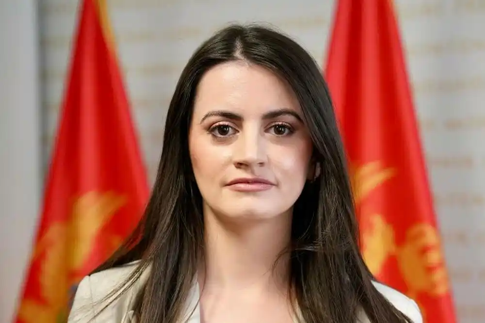 Vesković: Imali smo vremena, ali ne i političku volju za otvorene liste