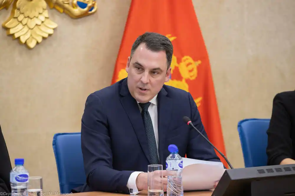 Vuković: Istovjetan sporazum kao sa Jedinstvenom Rusijom DPS potpisao i sa Socijaldemokratskom partijom Austrije