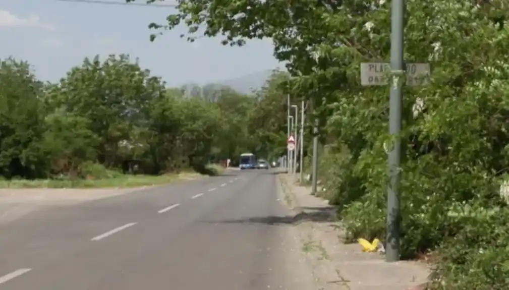 Zapuštena imanja blokirala trotoar u Tološima, “Putevi” najavljuju hitnu reakciju