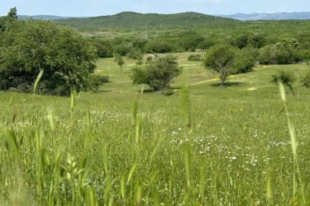 Zelena dozvola za elektranu “Vraćenovići”: Investitor dobio saglasnost za izgradnju 192.000 solarnih panela kod Nikšića