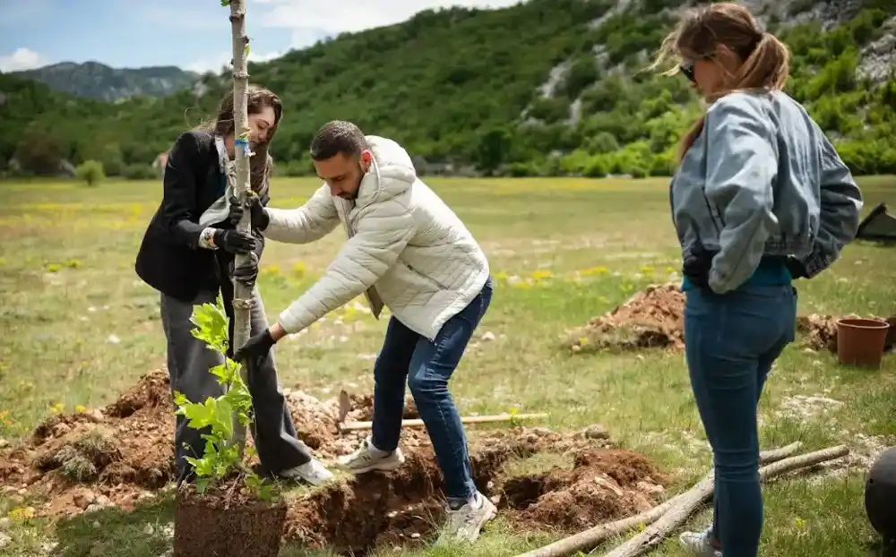 Akcija „Tehnopolisa“ povodom decenije rada: Zaposleni posadili mlada stabla na Grahovu