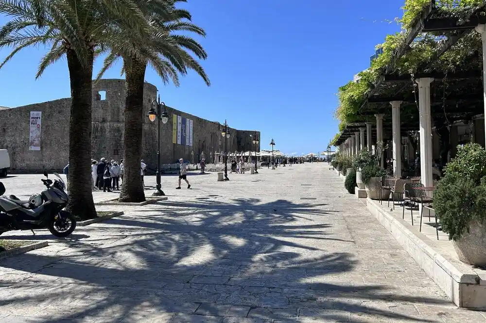 Budva: Vlast kritikuje obustavu privremenih lokacija, opozicija njihove postupke; Jovanović: Vlada će zatvoriti turizam