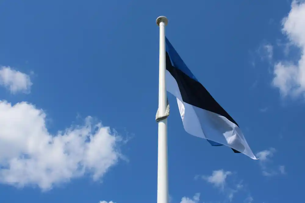 Estonija postavlja odbrambene sisteme protiv dronova na granici sa Rusijom