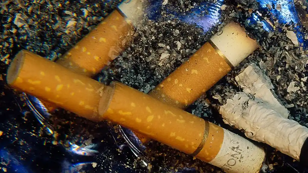 Magične pečurke bi mogle da pomognu ljudima da ostave cigarete