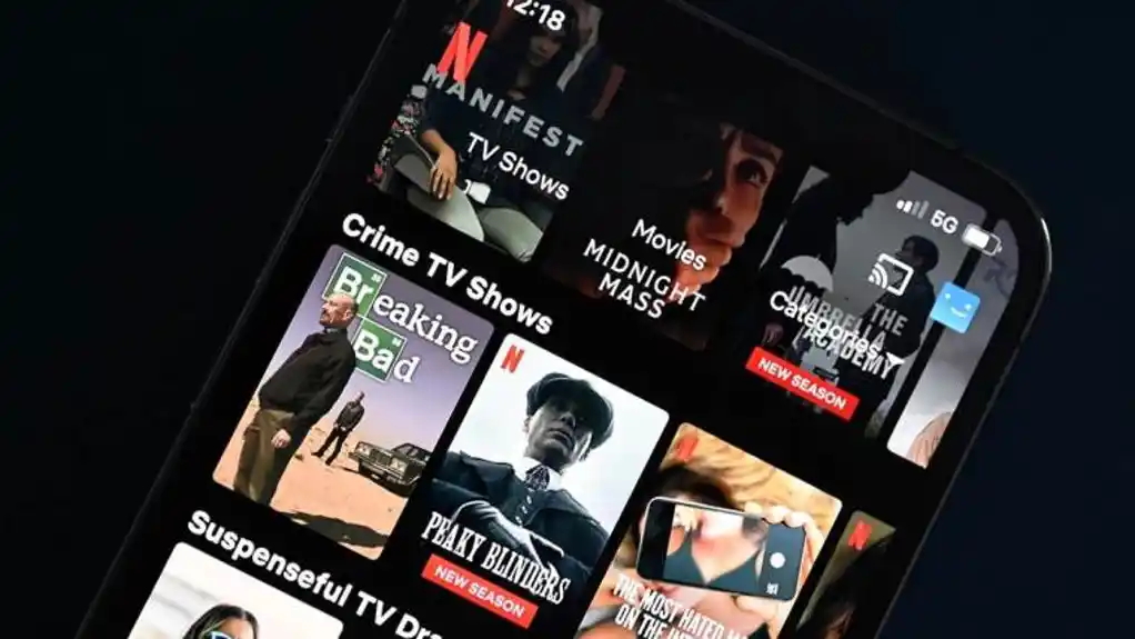 Masovni pad piratskih sajtova