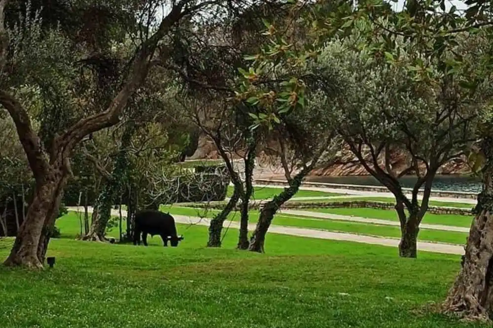 Miločerski park biće pod zaštitom države: Uprava za zaštitu kulturnih dobara priprema elaborat