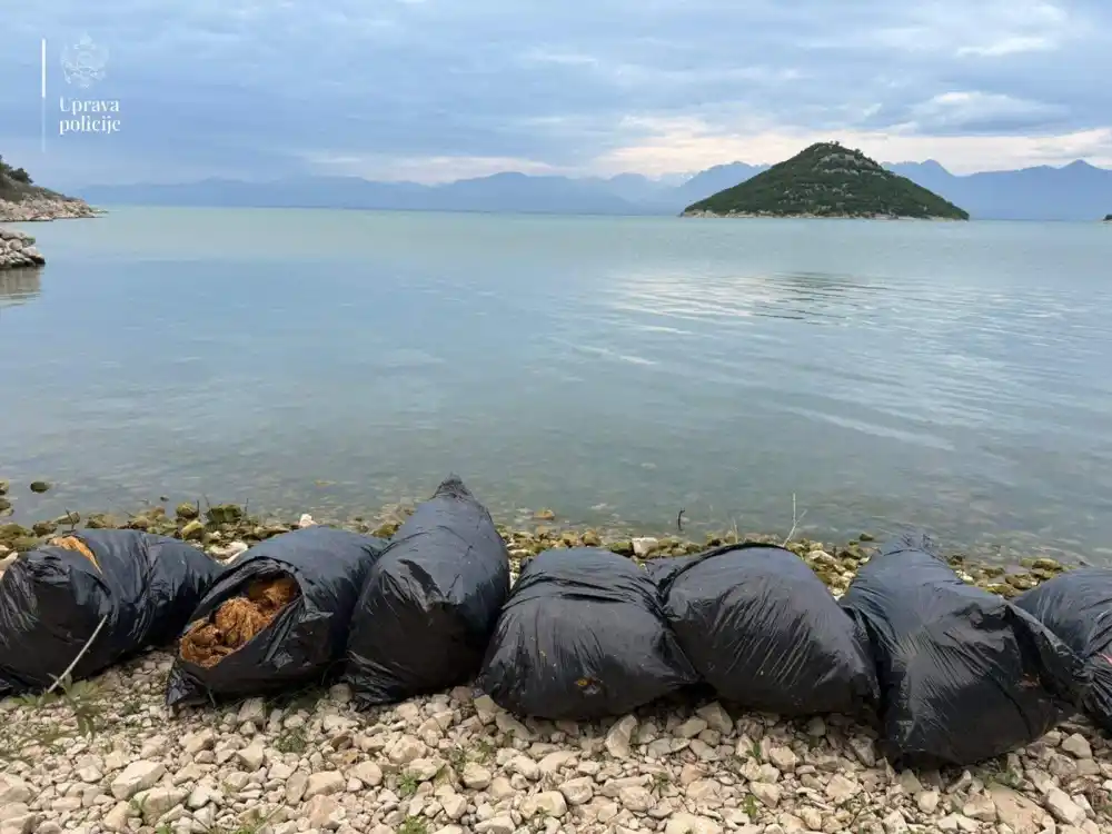 Na Skadarskom jezeru pronađeno 136 kilogama duvana